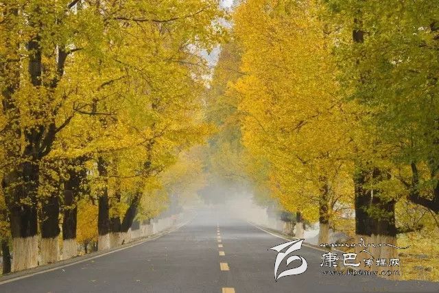 康定新都橋，有一條黃金大道通往夢(mèng)中的天堂