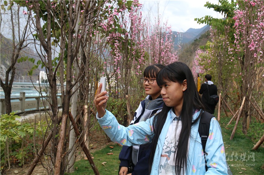 春光俏！“醉”是瀘定春三月，踏青賞花正當(dāng)時