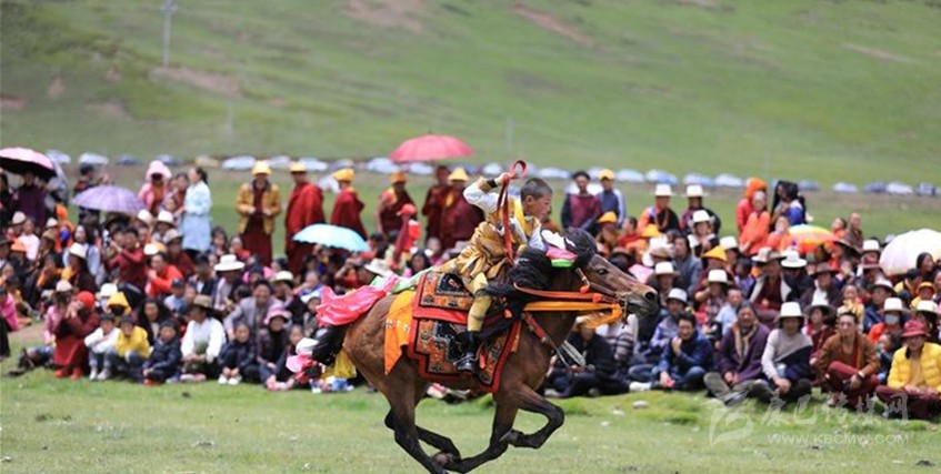 格?；ㄊ㈤_ 牧民馬背上一顯身手