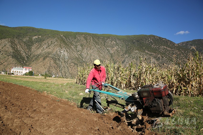 田園藏鄉(xiāng)美如畫，百姓脫貧喜在心