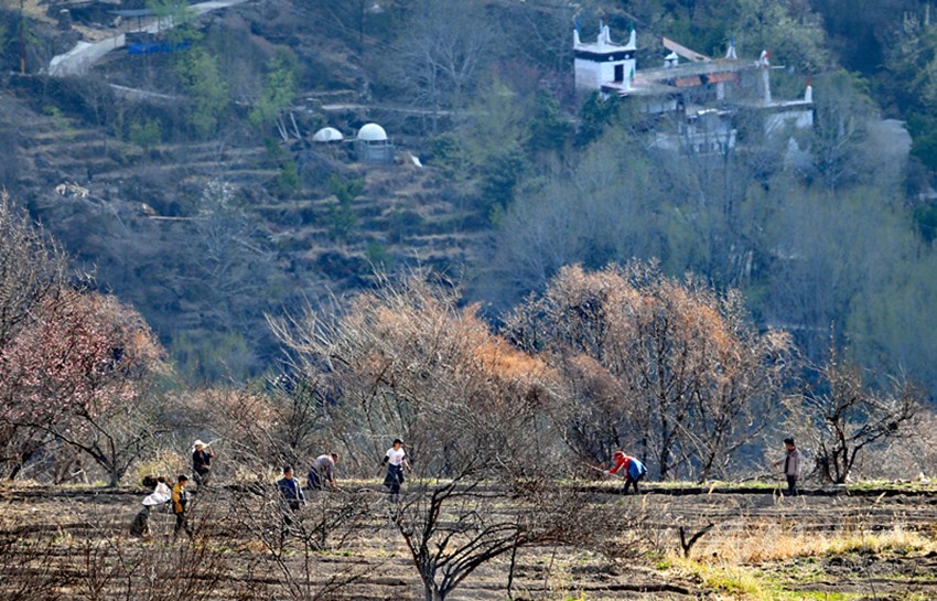 鉚足“?！眲鸥髅? onload=