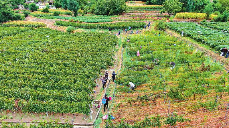 得榮縣瓦卡.jpg 得榮縣瓦卡.jpg