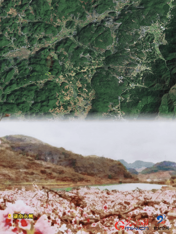 清明游玩賞花圖鑒來了！衛(wèi)星鏡頭帶你先睹為快