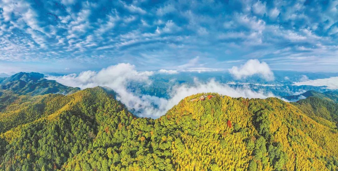 　三明森林生態(tài)環(huán)境優(yōu)美。